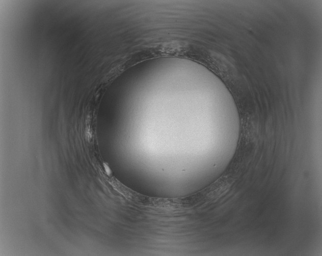 X0000082930962200702152143