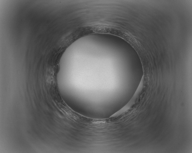 X0000082930964200702152143