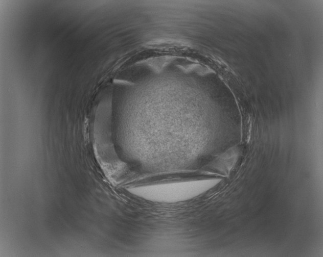 X0000082930965200702152143