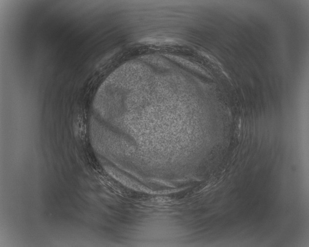 X0000082930966200702152143