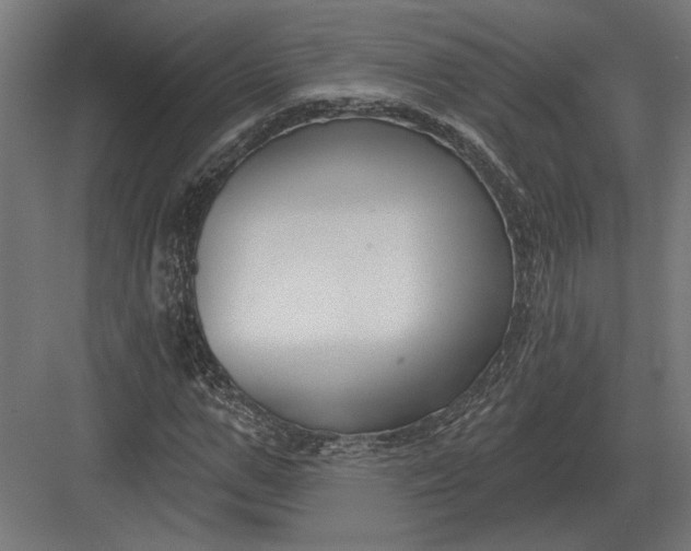 X0000082930967200702152143