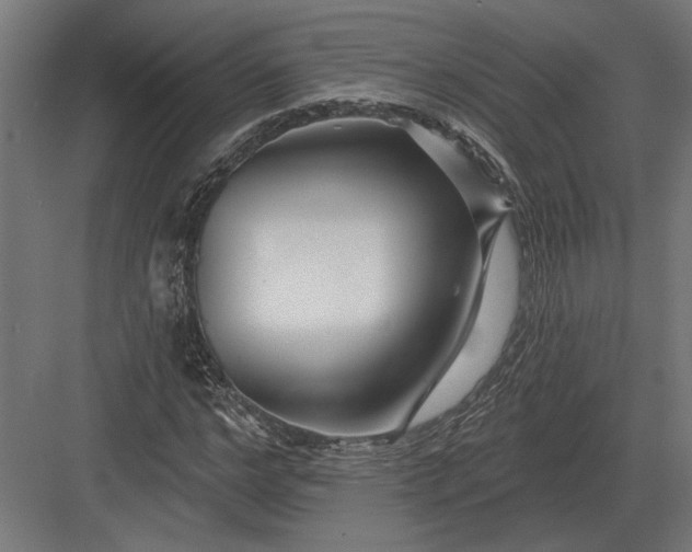 X0000082930968200702152143