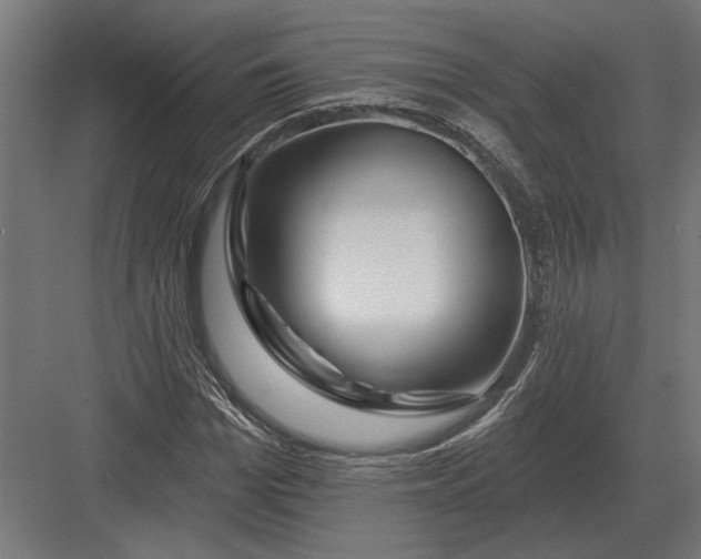 X0000082930969200702152143