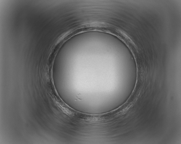 X0000082930970200702152143