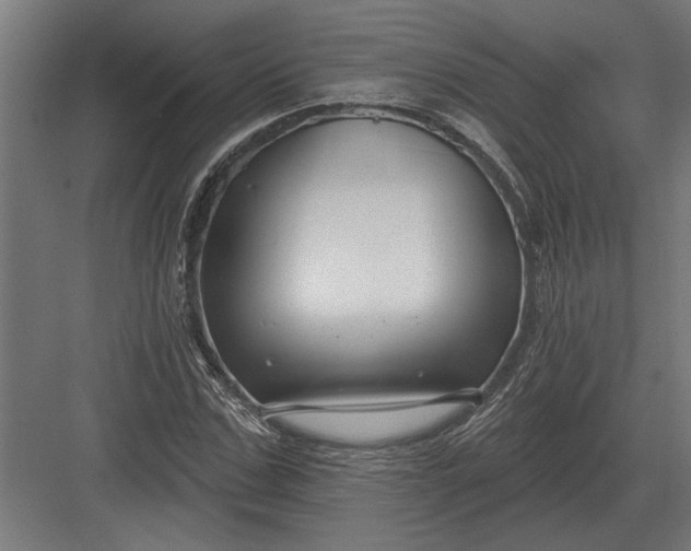 X0000082930971200702152143