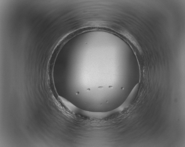 X0000082930972200702152143