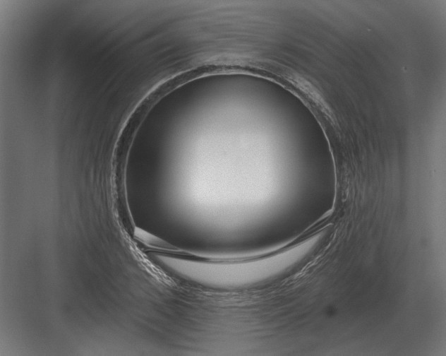 X0000082930976200702152143