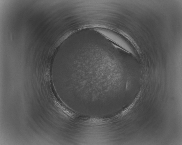 X0000082930977200702152143