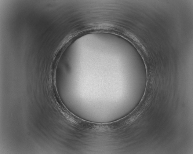 X0000082930978200702152143