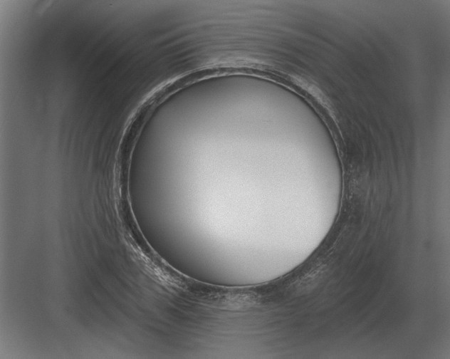 X0000082930979200702152143