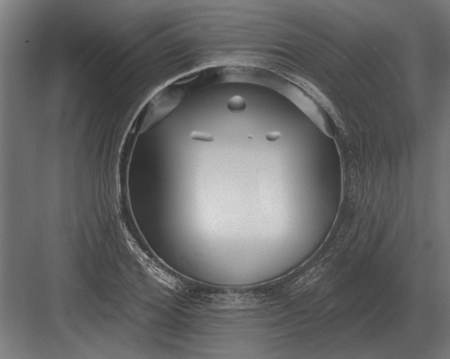 X0000082930980200702152143