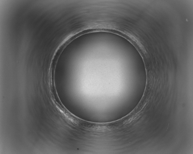 X0000082930982200702152143