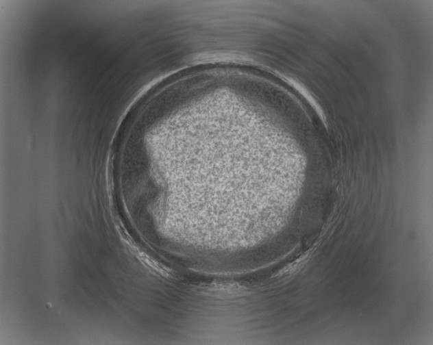 X0000082930983200702152143