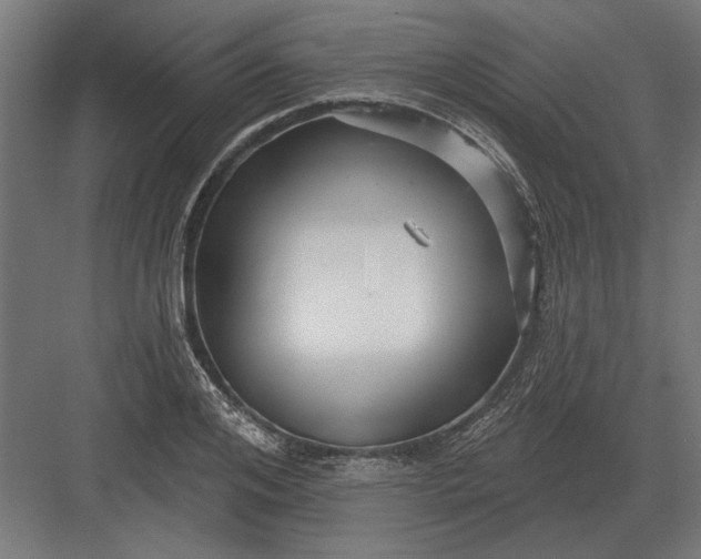 X0000082930984200702152143