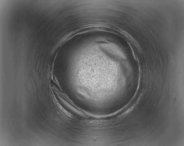 X0000082930985200702152143