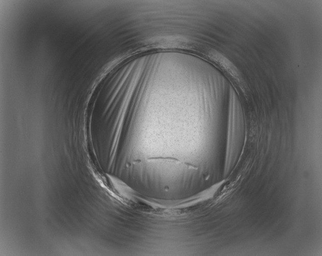 X0000082930986200702152143