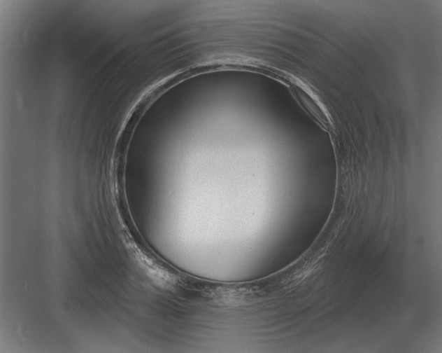 X0000082930987200702152143