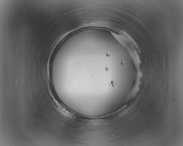 X0000082930988200702152143