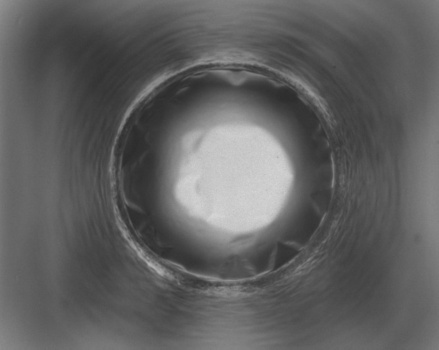 X0000082930990200702152143