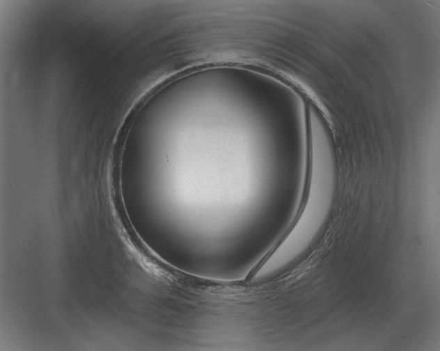 X0000082930991200702152143