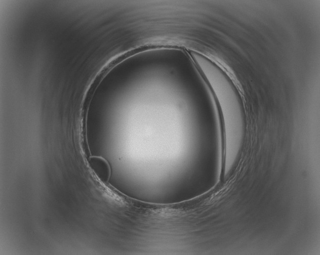 X0000082930992200702152143