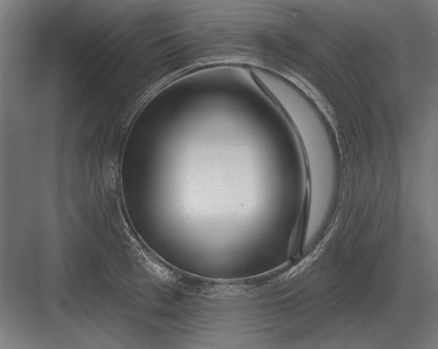 X0000082930993200702152143