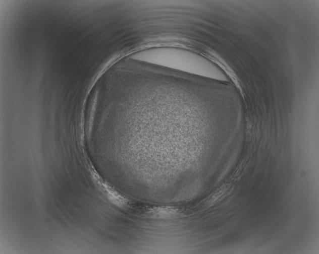 X0000082930994200702152143