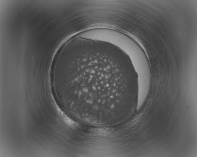 X0000082930995200702152143