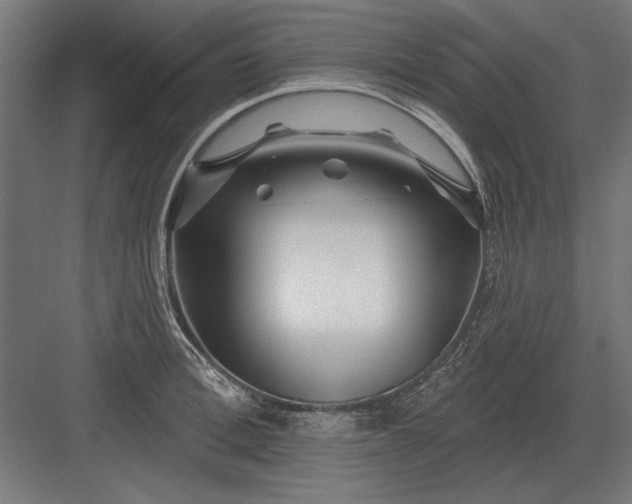 X0000082930996200702152143