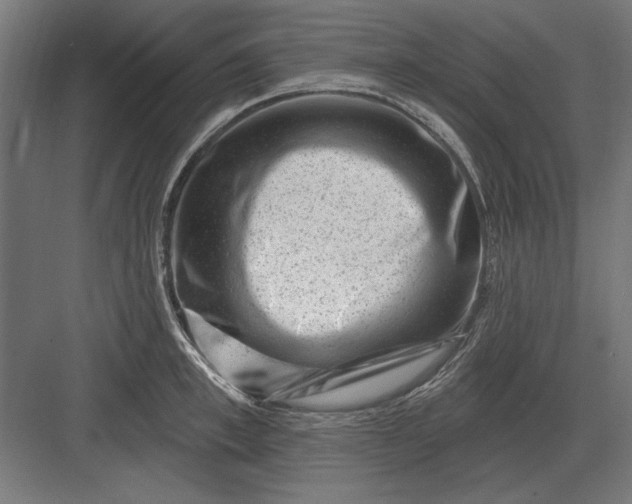 X0000082930997200702152143