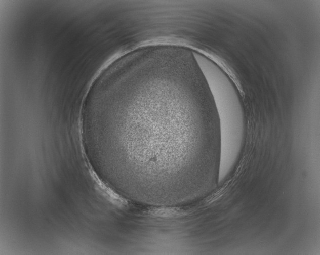 X0000082930998200702152143