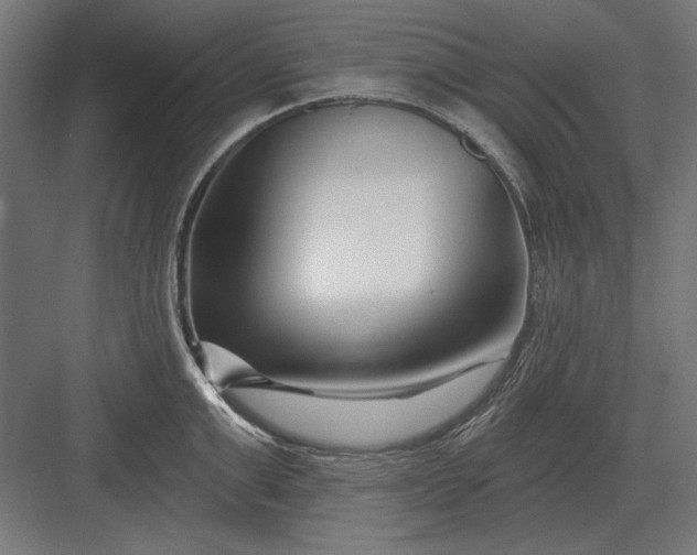 X0000082930999200702152143