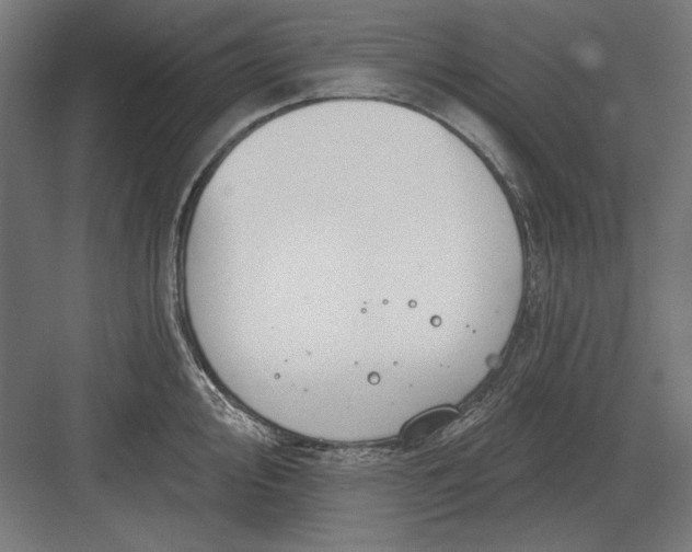 X0000082931000200702152142