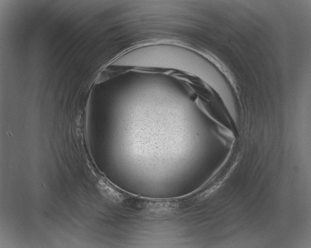 X0000082931001200702152142