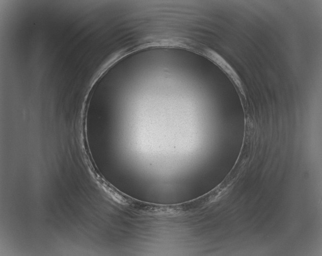 X0000082931002200702152142