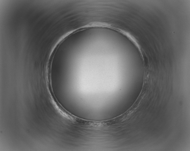 X0000082931003200702152142