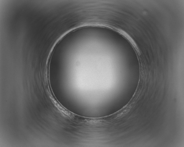 X0000082931004200702152142