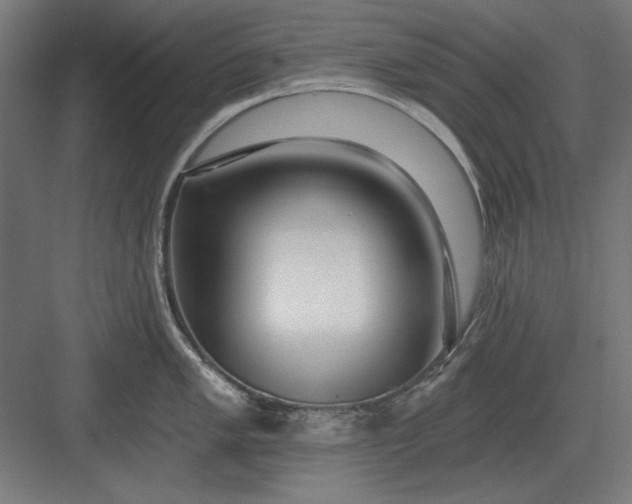 X0000082931005200702152142