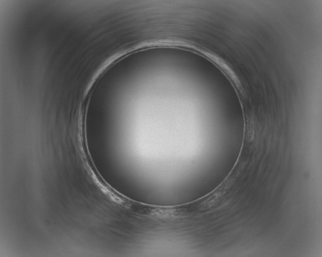 X0000082931006200702152142