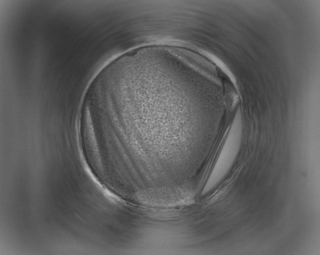 X0000082931007200702152142