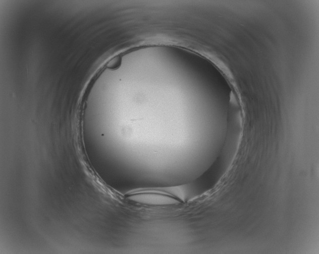 X0000082931008200702152142