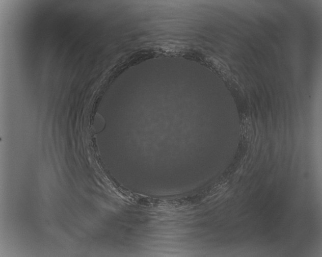 X0000082931009200702152142