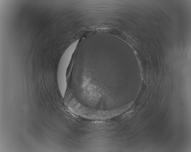 X0000082931010200702152142