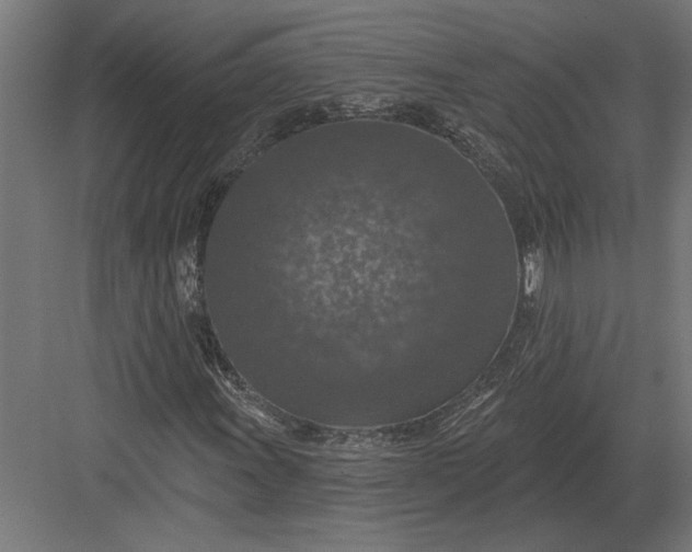 X0000082931011200702152142