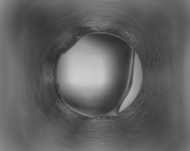 X0000082931012200702152142