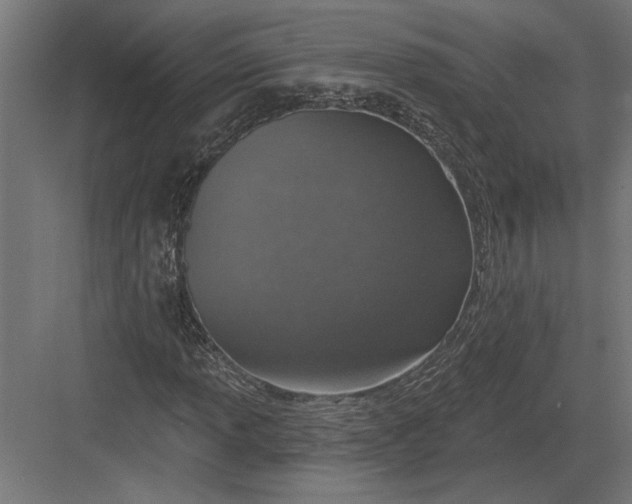 X0000082931013200702152142