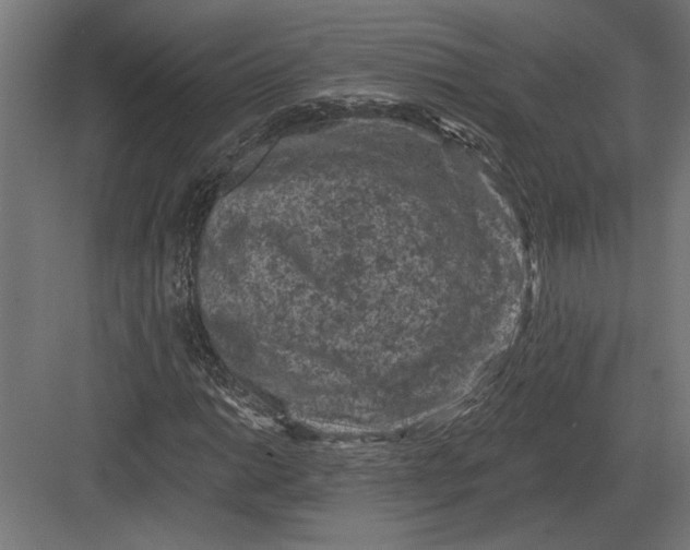 X0000082931014200702152142