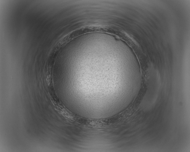 X0000082931015200702152142