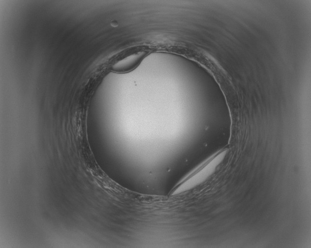 X0000082931016200702152142