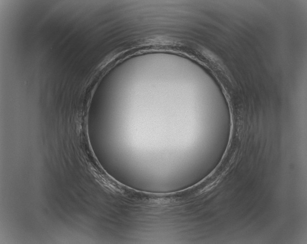 X0000082931017200702152142